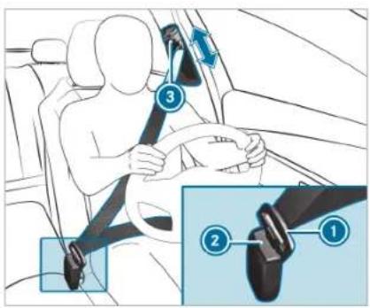 Mercedes-Benz C-Class Sedan (2024) - Fastening and adjusting seat belts - 1