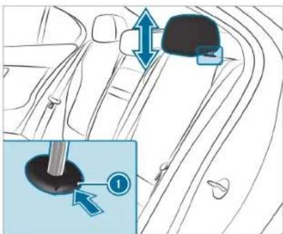 Mercedes-Benz C-Class Sedan (2024) - Head restraints - 4