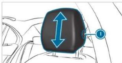 Mercedes-Benz C-Class Sedan (2024) - Head restraints - 1