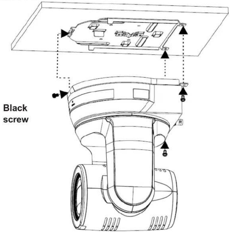 Black screw