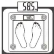 Eldom Weighty GWO250 - TECHNICKÉ ÚDAJE: - 3