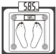 Eldom Weighty GWO250 - USO DEL APARATO - 2