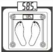 Eldom Weighty GWO250 - TECHNISCHE DATEN - 3