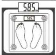 Eldom Weighty GWO250 - TECHNICAL DATA - 3