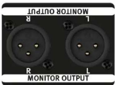 MONITOR OUTPUT R L R L MONITOR OUTPUT