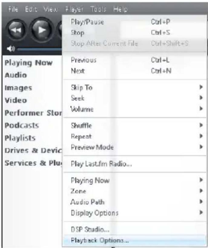 File Edit View Player Tools Help Play/Pause Ctrl+P Shop Ctrl+S Stop After Current File Ctrl+Shift+S Playing Now Audio Images Skip To Video Seek Performer Stor Volume Podcasts Shuffle Playlists Repeat Drives & Devic Preview Mode Services & Plug Play Last.fm Radio... Playing Now Zone Audio Path Display Options DSP Studio... Playback Options...