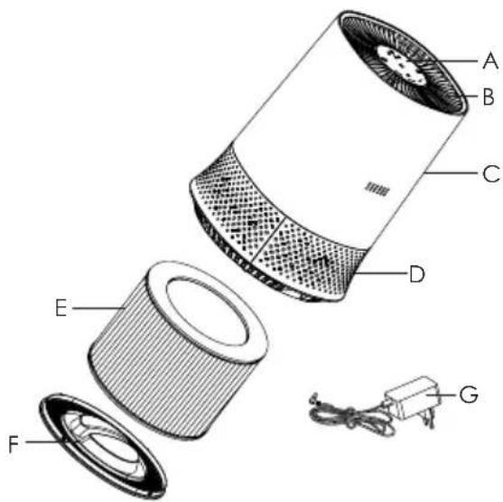 Exploded diagram of a hair dryer with labeled parts A through G