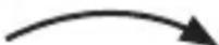 Brandson 301519 - Tendenzen - 3