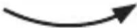 Brandson 301519 - Tendenzen - 2