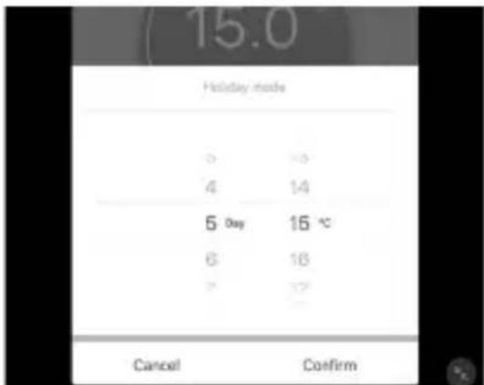 15.0 Holiday mode 0 10 4 14 5 Day 16 °C 6 18 7 22 Cancel Confirm