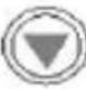 Bearware 304968 - Deutsch - 7