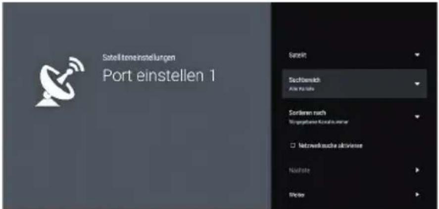 Satelltemeinstellungen Port einstellen 1 Sanskelt Sechtemich Ade Pachov Sortieren nach Wingengehende Konzschumserer Netzweksuche aktivienze Nachste Möller