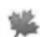 Radial Engineering EXTC - THREE YEAR TRANSFERABLE LIMITED WARRANTY - 2