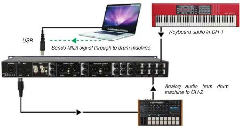 Radial Engineering KL-8 - MIDI IN AND OUT - 2