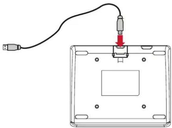 VIEWSONIC PD0521 - Connecting the Pen Display - 2