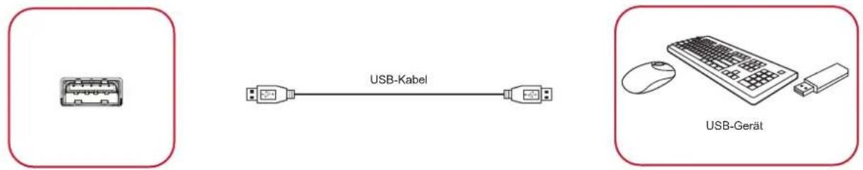 VIEWSONIC IFP6532-2 - USB-Peripherie - 1