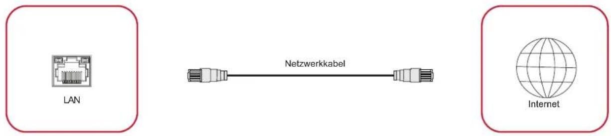 LAN Netzwerkkabel Internet
