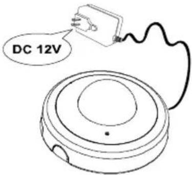 DC 12V