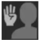 AVer TR315N - To perform the gesture control function: - 3