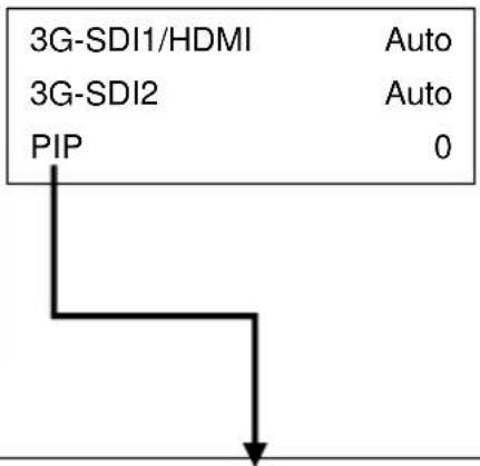 3G-SDI1/HDMI 3G-SDI2 PIP Auto Auto 0