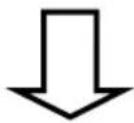 AVer VC550 - SSL Certificate - 2