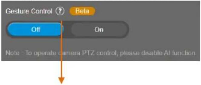Gesture Control ? Beta Off On Note To operate camera PTZ control, please disable AI function