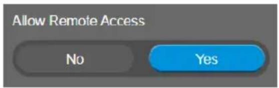 Allow Remote Access No Yes