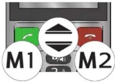 M1 M2