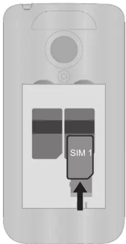 SIM 1