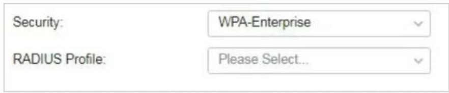 Security: WPA-Enterprise RADIUS Profile: Please Select...