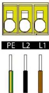 PE L2 L1