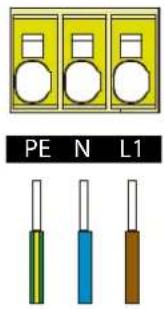 PE N L1