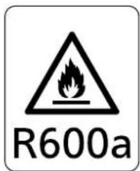 R600a