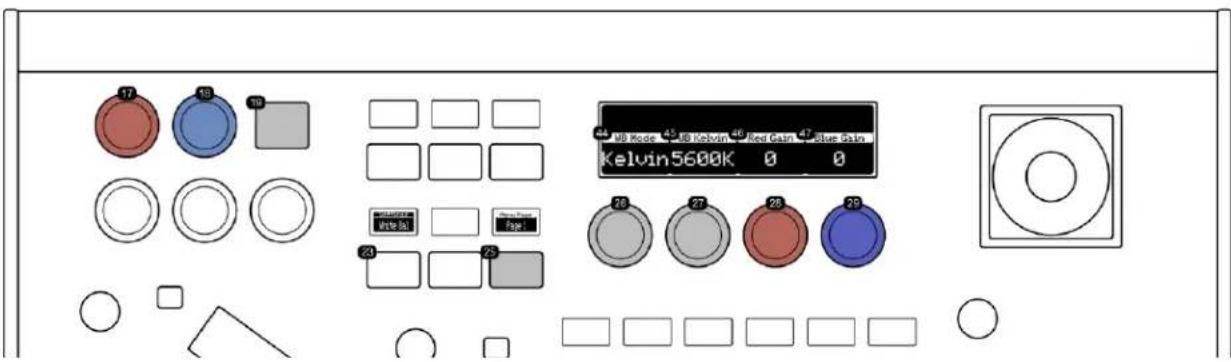 17 19 18 44 NB Kose 45 KB Kelvin 46 Red Gain 47 Blue Gain Kelvin5600K 0 0 26 27 28 29 20 21 22 23 24 25 26 27 28 29 20 21 22 23 24 25 26 27 28 29
