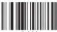 Aplic 303025 - Instructions on the disposal of batteries - 27
