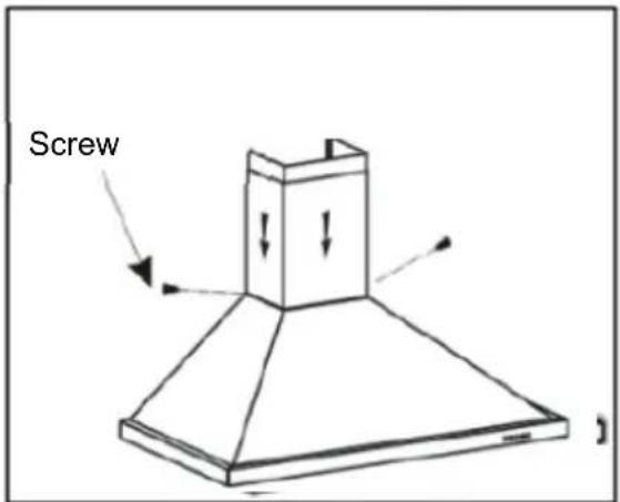 Screw