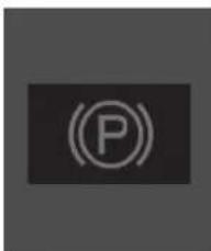(P)