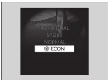 INDIVIDUAL SPORT NORMAL ECON