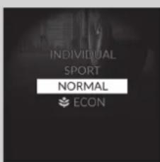 INDIVIDUAL SPORT NORMAL ECON