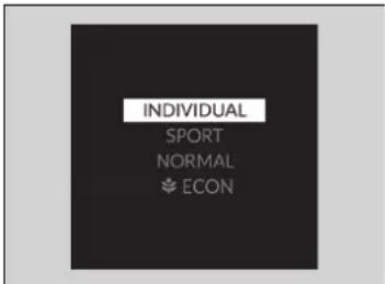 INDIVIDUAL SPORT NORMAL ECON