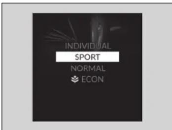 INDIVIDUAL SPORT NORMAL ECON
