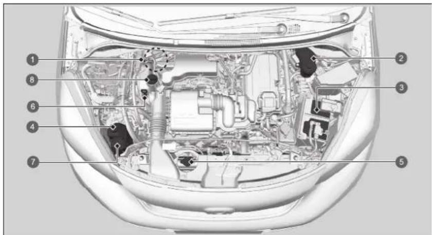 Honda Jazz e:HEV (2022) - Wartungspunkte im Motorraum - 1