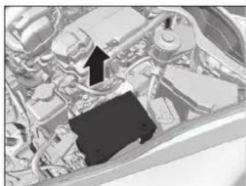 Honda Jazz e:HEV (2022) - ACHTUNG - 2