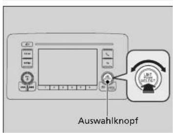 Auswahlknopf