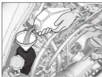 Honda Jazz e:HEV (2023) - ACHTUNG - 1
