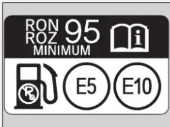 RON ROZ 95 MINIMUM E5 E10