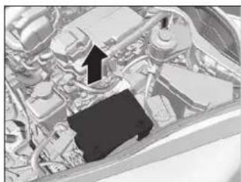 Honda Jazz e:HEV (2023) - ACHTUNG - 2