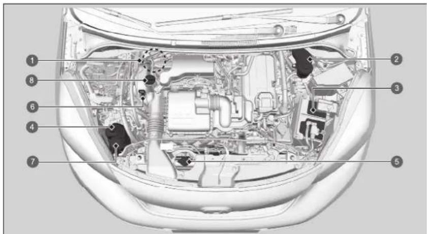Honda Jazz e:HEV (2021) - Wartungspunkte im Motorraum - 1