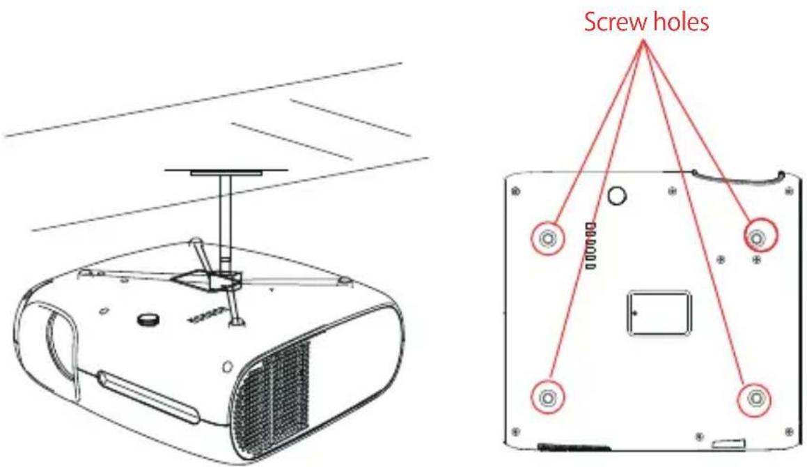 Screw holes