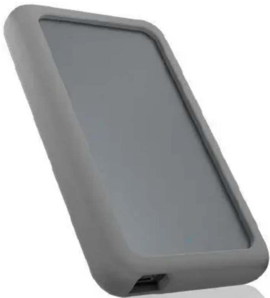 Icy Box IB-246-C31-G - 1